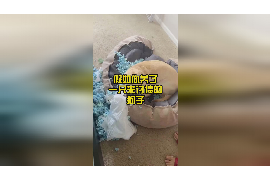 为上海王女士顺利拿回货款